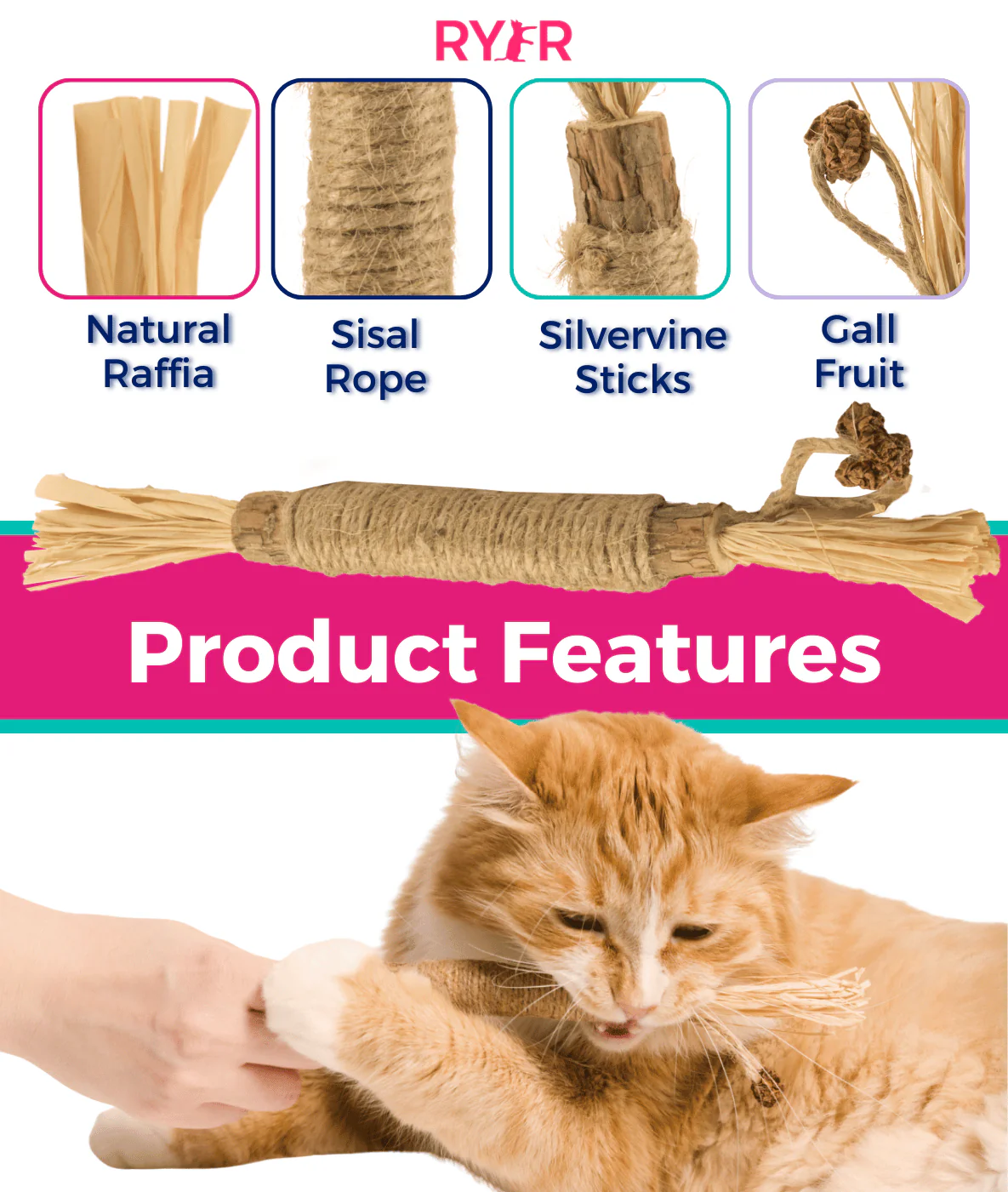 RYERCAT Silvervine Cat Dental Sticks - Image 3