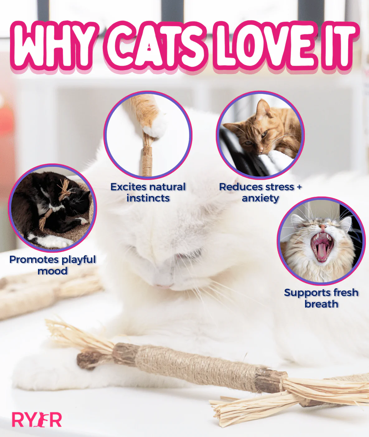 RYERCAT Silvervine Cat Dental Sticks - Image 4