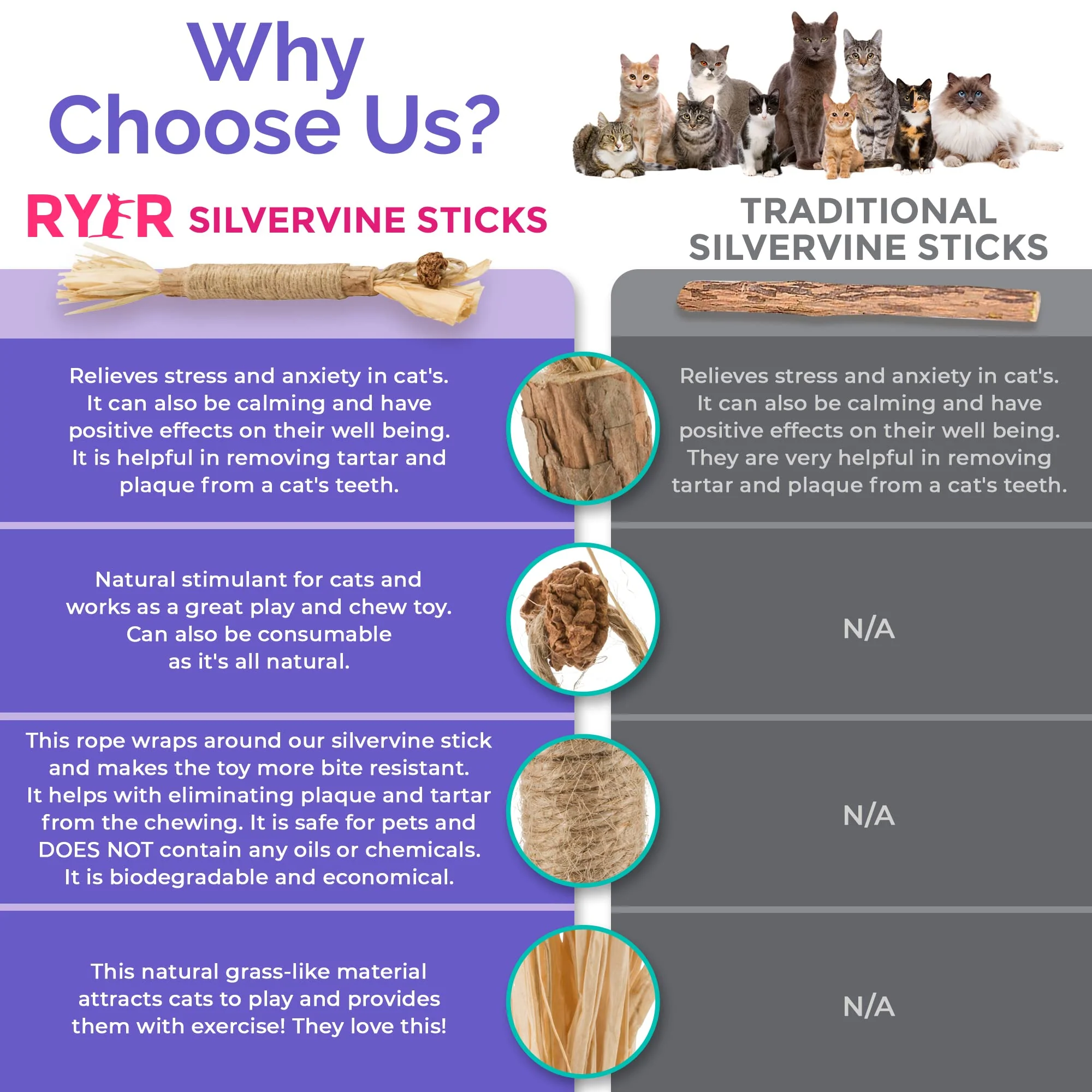 RYERCAT Silvervine Cat Dental Sticks (Germany) - Image 4