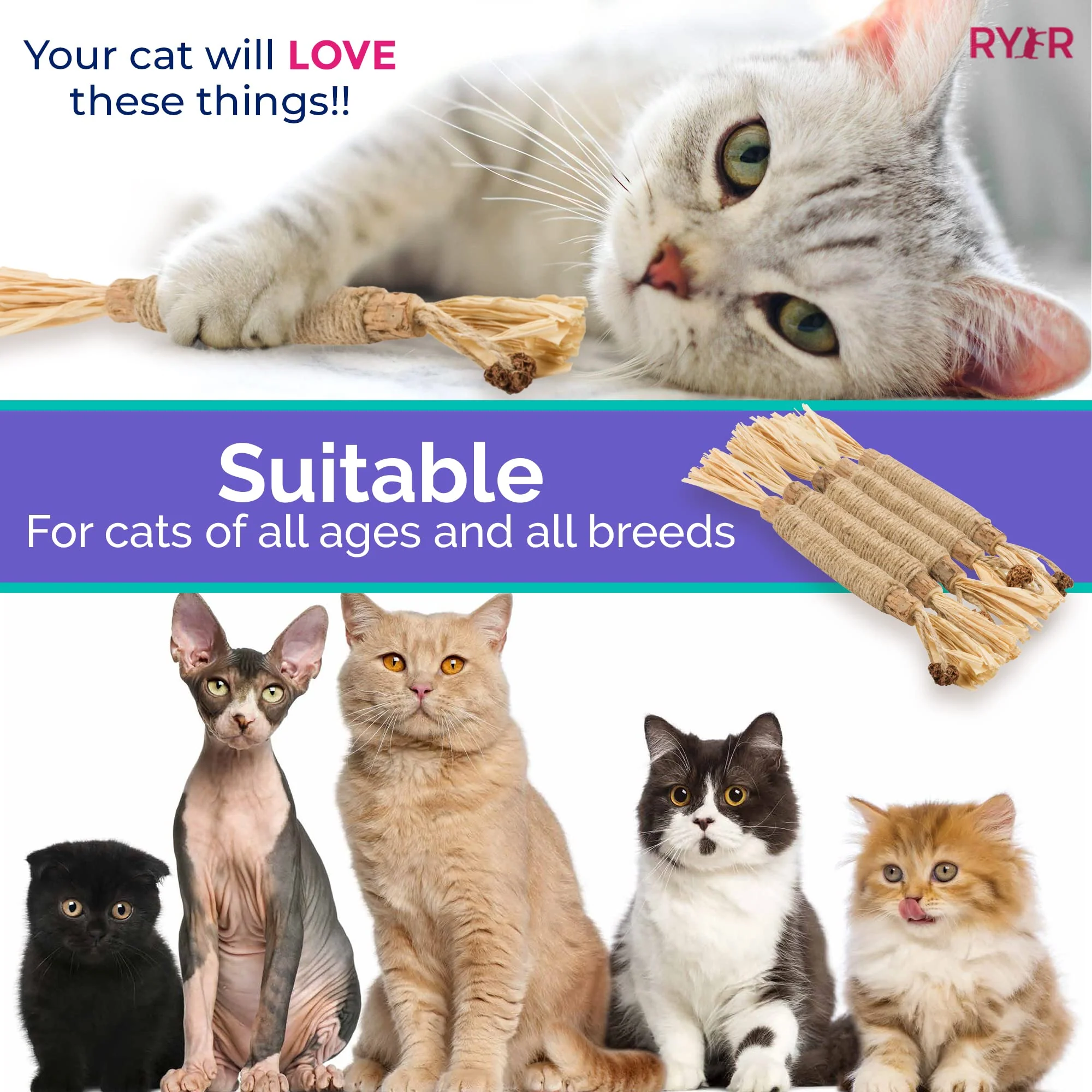 RYERCAT Silvervine Cat Dental Sticks (Germany) - Image 6