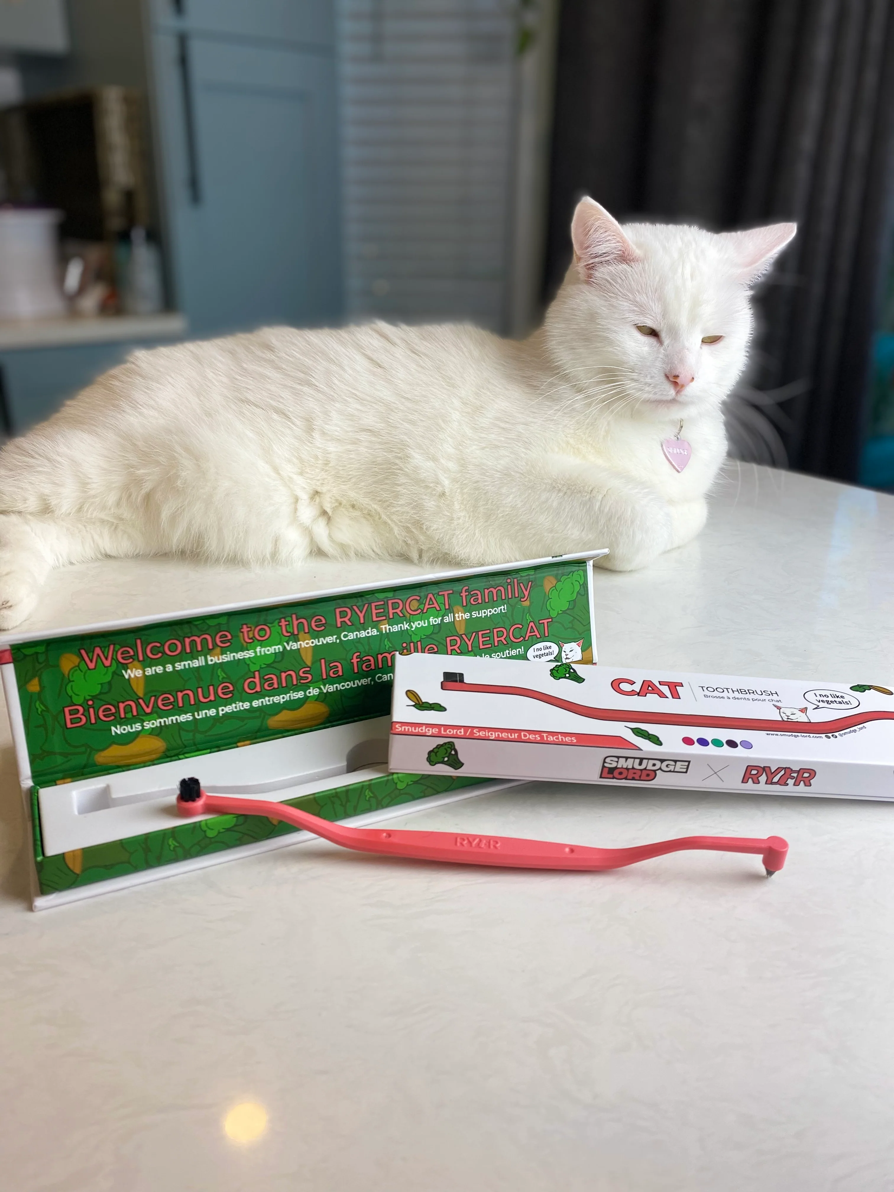 SMUDGELORD TOOTHBRUSH - Image 14