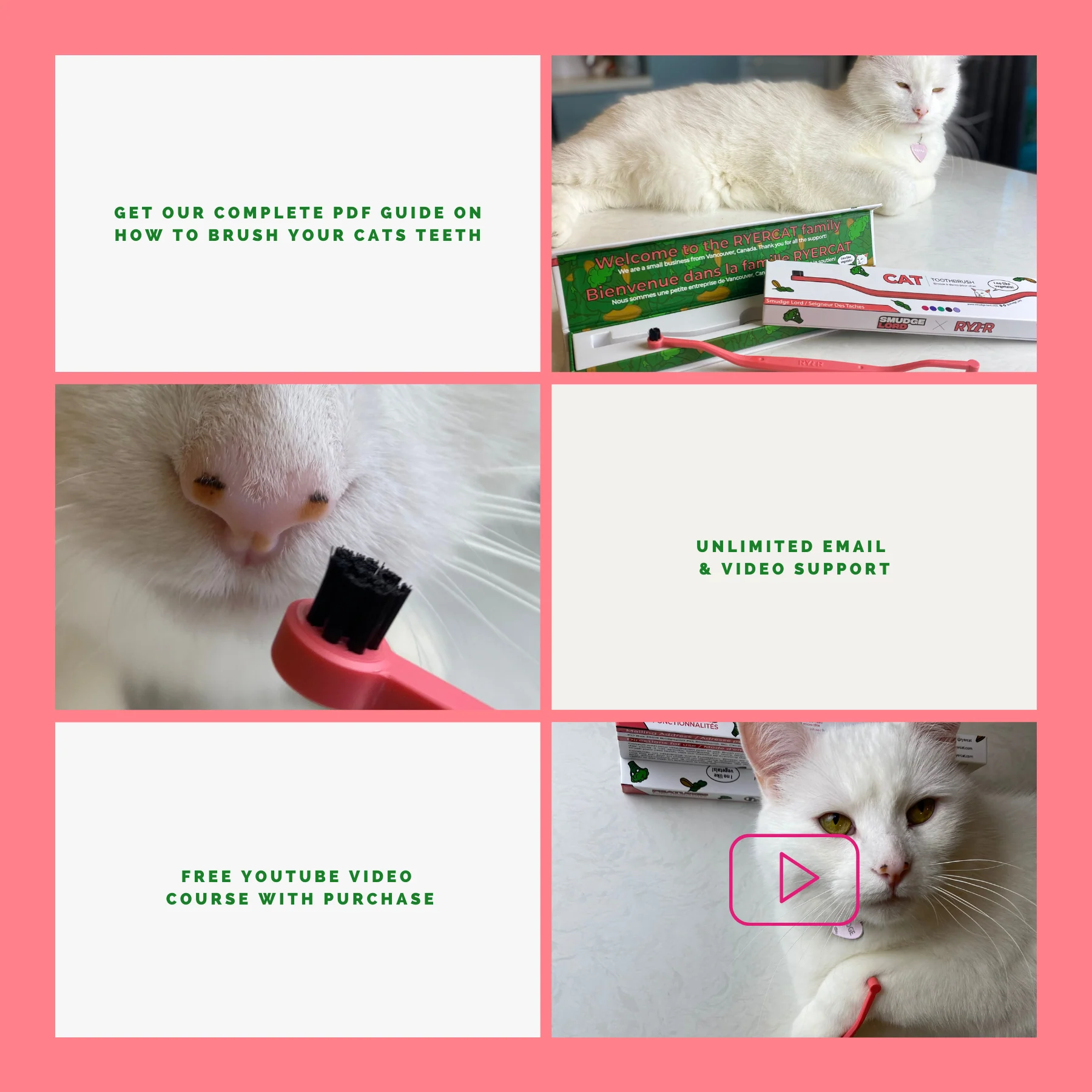 SMUDGELORD TOOTHBRUSH - Image 3